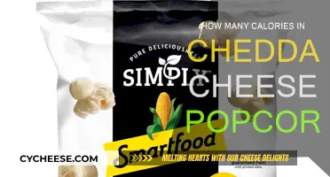 Cheddar Cheese Popcorn: Calorie Count and Nutrition Facts