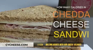 Cheese Sandwich Calories: How Much Energy?