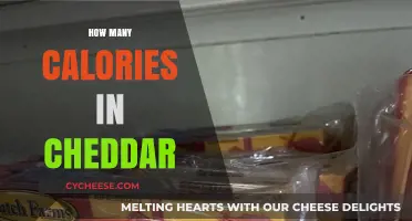 Cheddar Cheese: Calorie Count and Nutrition Facts