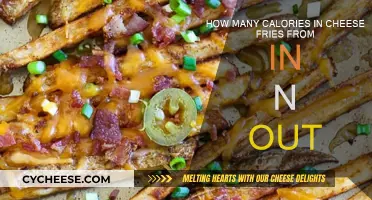 Cheese Fries Calories: In-N-Out's Indulgent Side