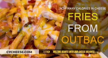 Cheese Fries Calories: Outback's Indulgent Side