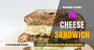 Cheese Sandwich Calories: How Much Does it Pack?