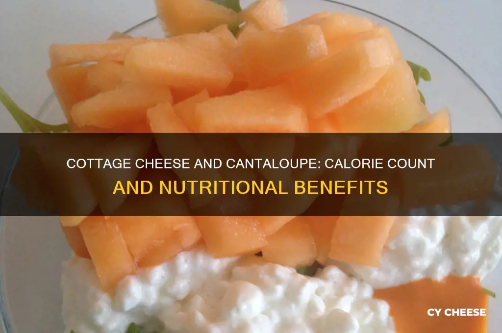 how many calories in cottage cheese and cantaloupe