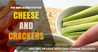 Cottage Cheese and Crackers: Calorie Count and Healthy Snack Tips