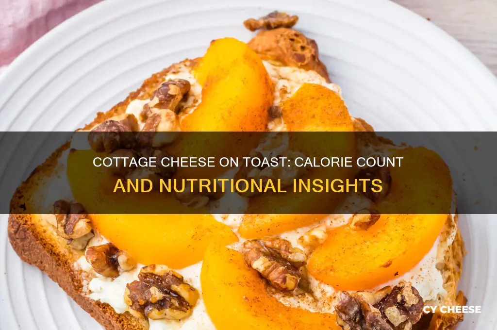 how many calories in cottage cheese on toast