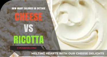 Cottage Cheese vs Ricotta: Calorie Comparison for Healthier Choices