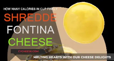 Cheese Lovers: Know Your Fontina Cheese Calories