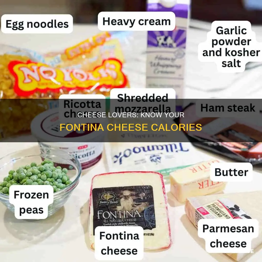 how many calories in cup finely shredded fontina cheese