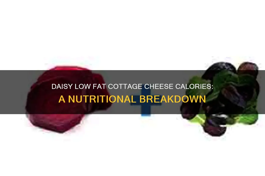 how many calories in daisy low fat cottage cheese