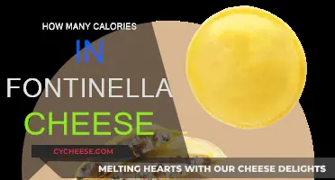 Fontinella Cheese: Calorie Count and Nutrition Facts