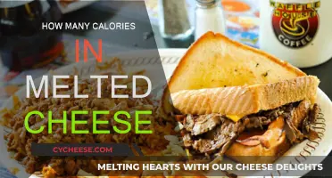 Cheese Connoisseurs: Calories in Melted Cheese