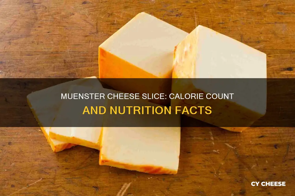 how many calories in muenster cheese slice