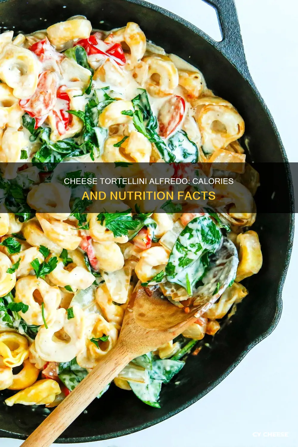 how many calories in restaurant cheese toritine alfredo