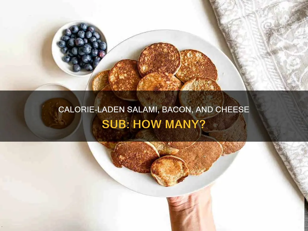 how many calories in salami and bacon and cheese sub