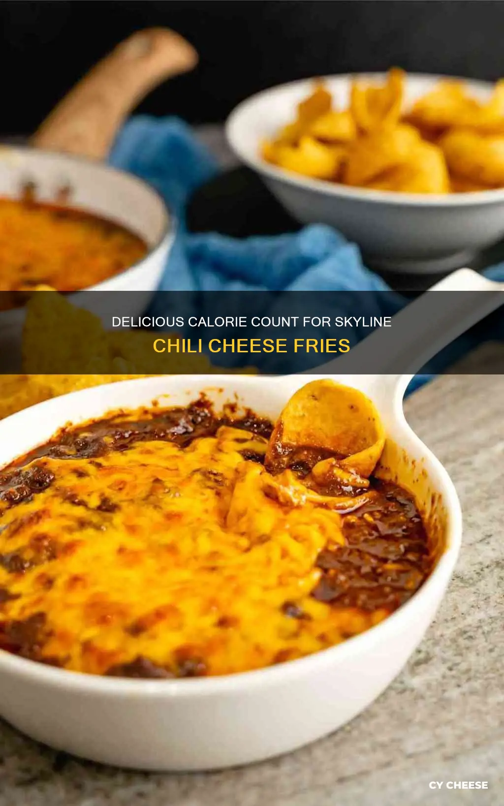 how many calories in skyline chili cheese fries