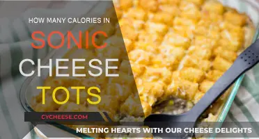 Cheese Tots Calories: A Sonic Treat