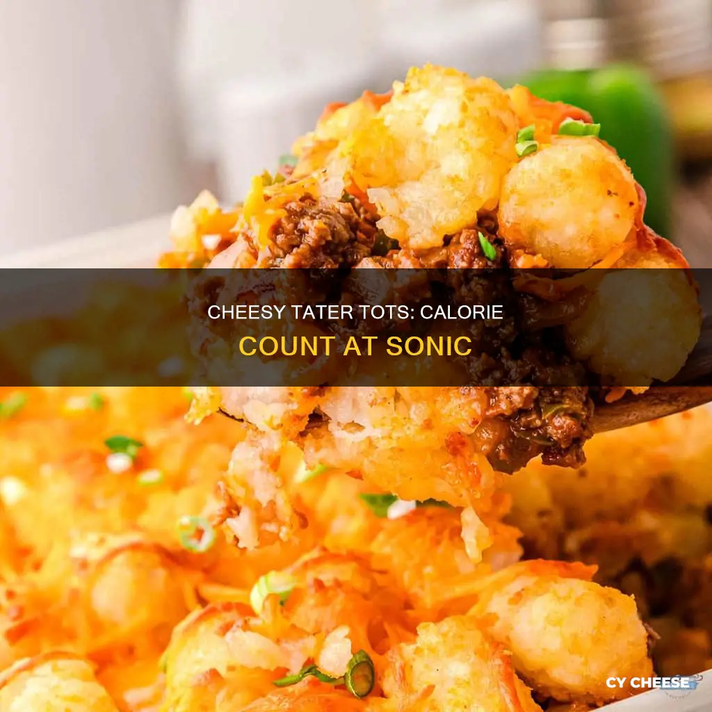 how many calories in sonic tater tots with cheese