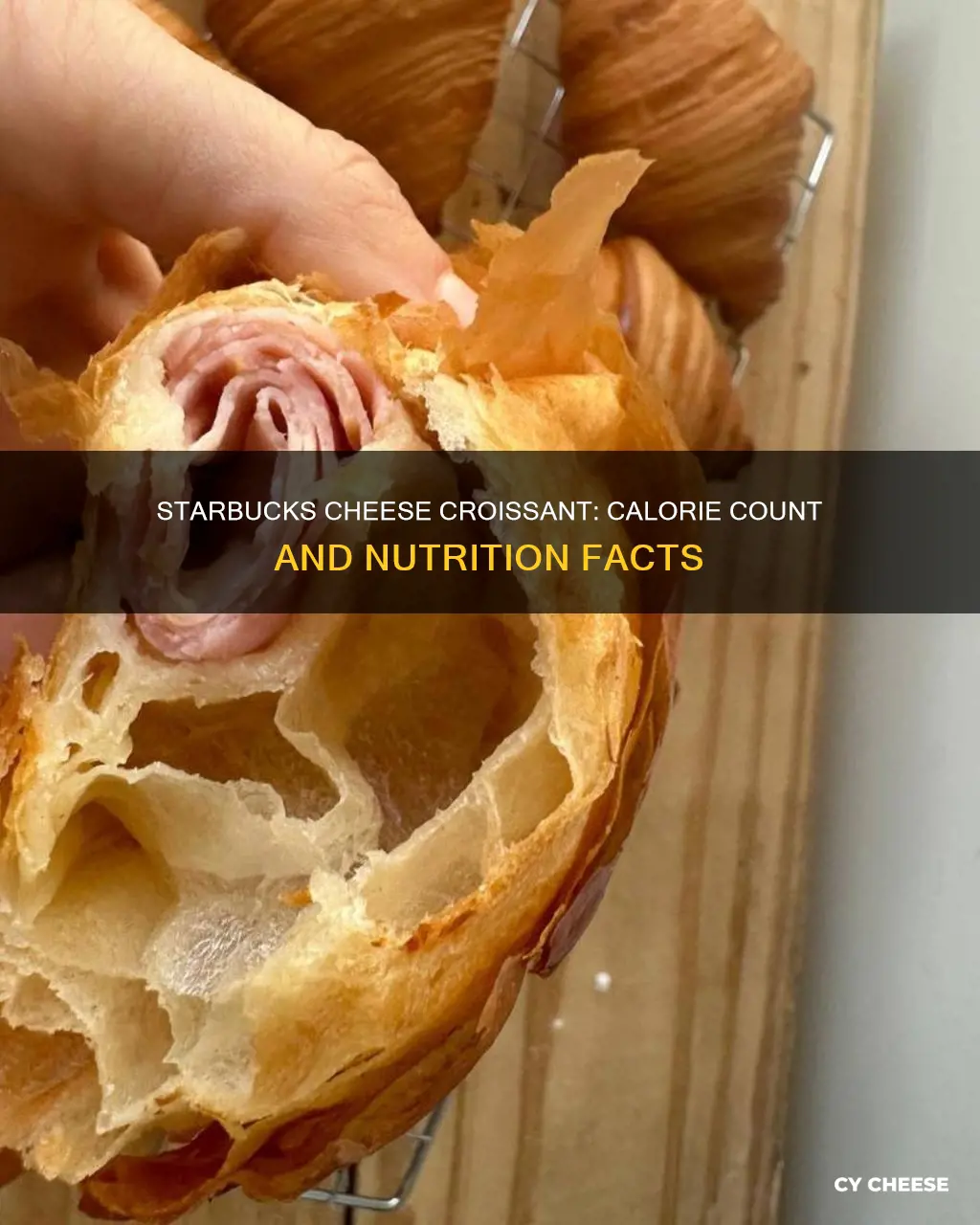 how many calories in starbucks cheese croissant
