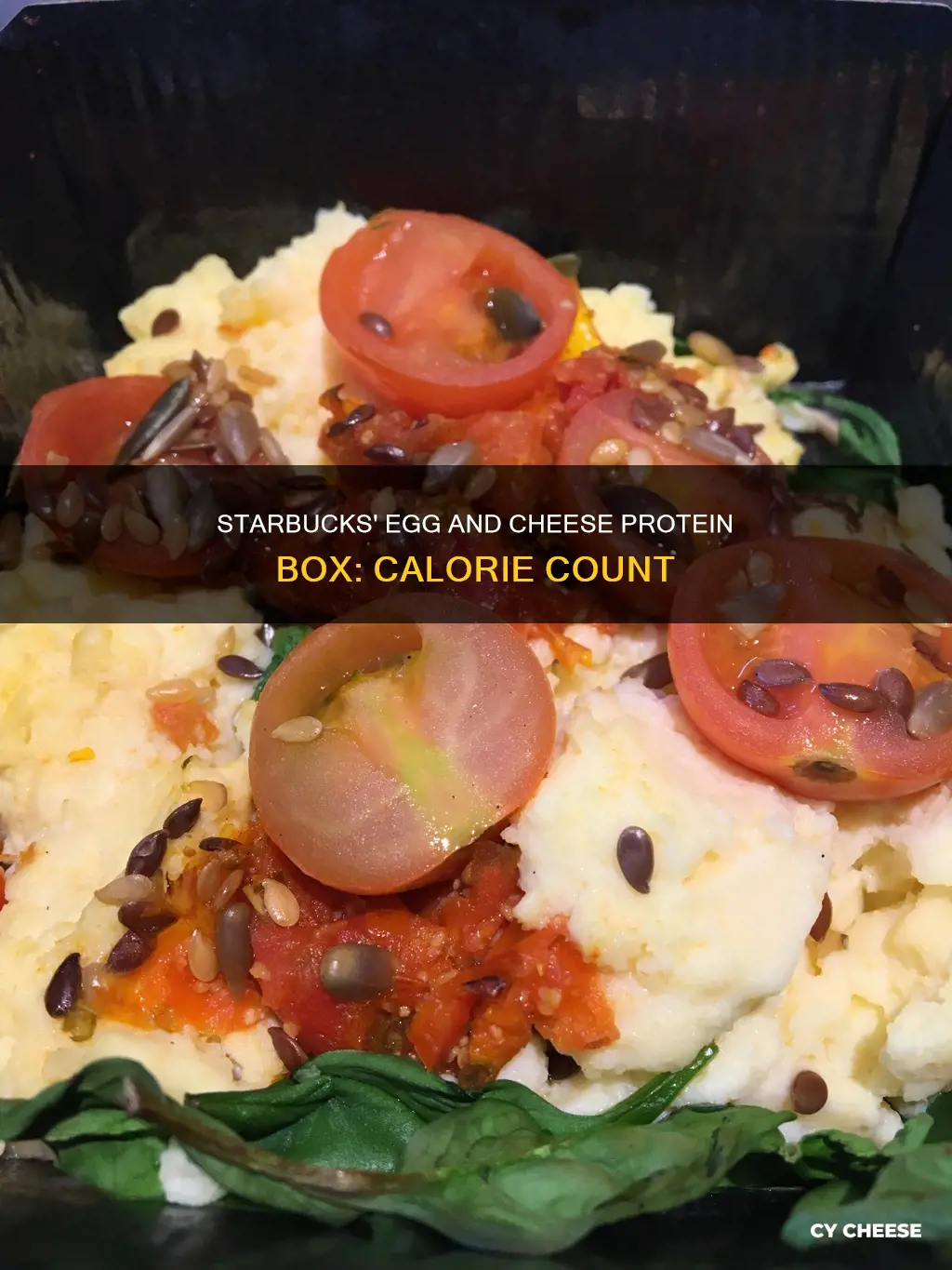 how many calories in starbucks egg and cheese protein box