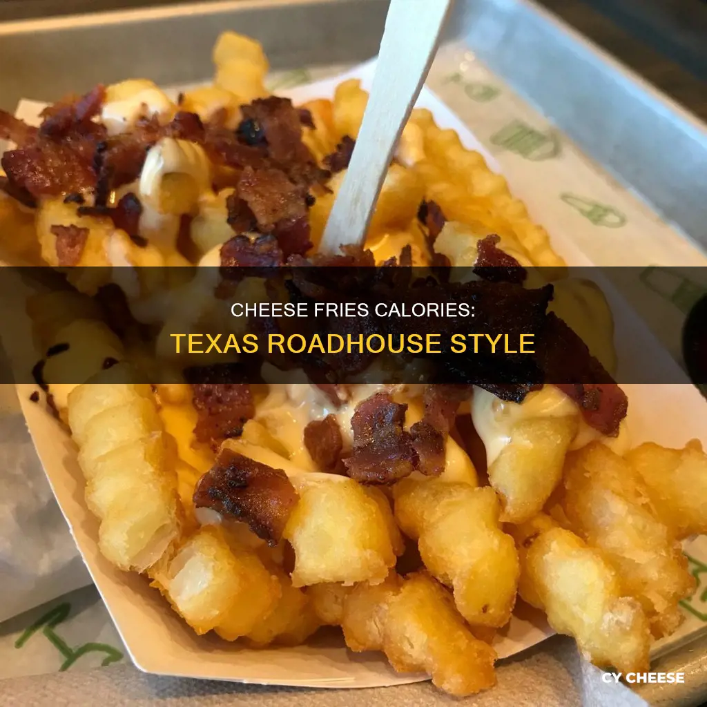 how many calories in texas roadhouse cheese fries