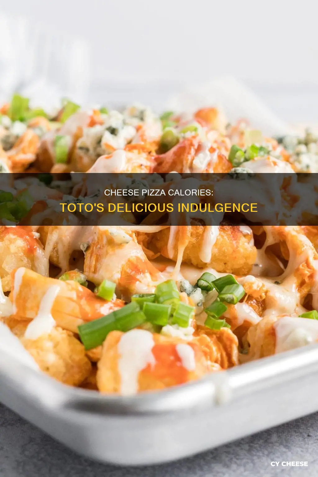 how many calories in toto