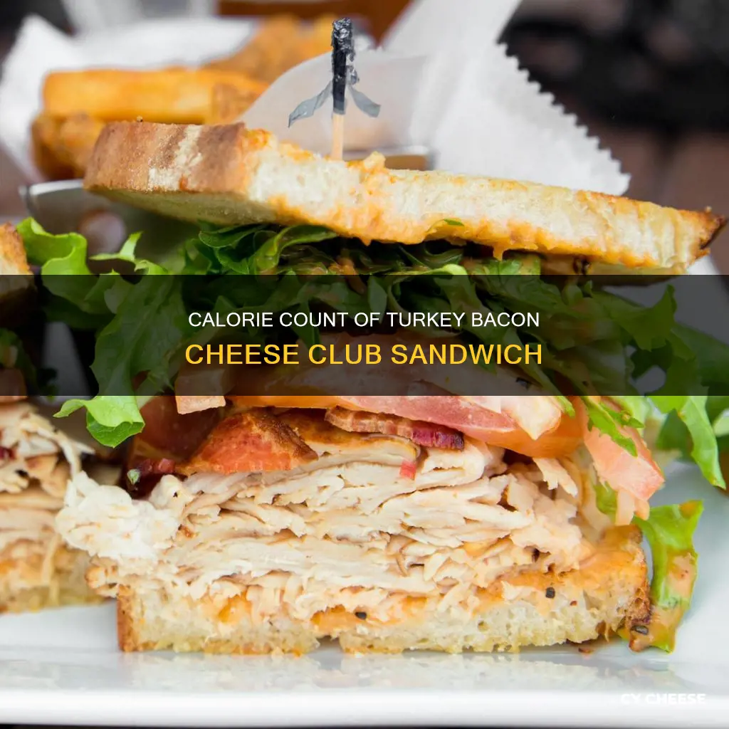 how many calories in turkey bacon cheese club sandwich