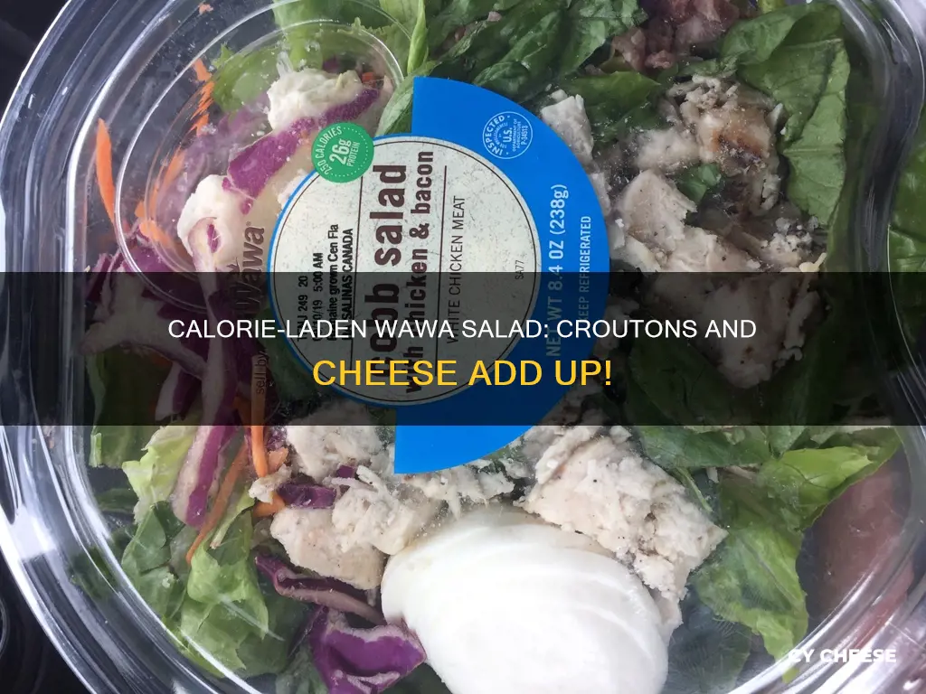 how many calories in wawa salad with croutons and cheese