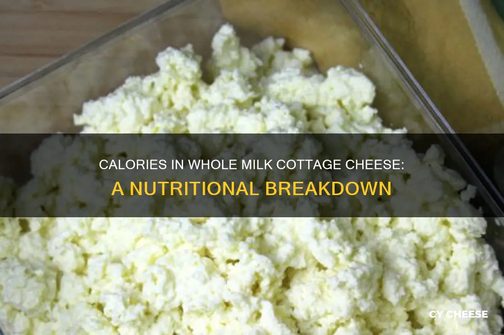 how many calories in whole milk cottage cheese