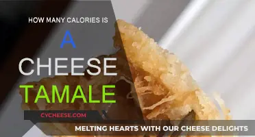 Cheese Tamales: Calorie Count and Nutrition Facts