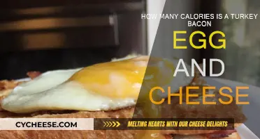 Calorie Count of a Tasty Turkey Bacon Egg and Cheese