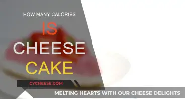 Cheese Cake Calories: A Tasty Indulgence