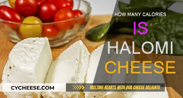 Calorie Count of Haloumi Cheese: Everything You Need to Know