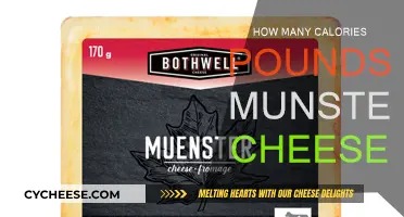 Cheese Calories: How Much Does Munster Cheese Weigh?