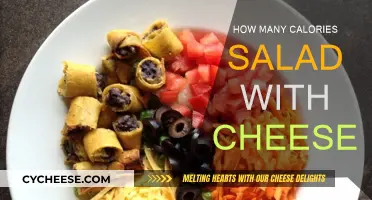 Cheese Salads: Calorie Counts and Healthy Options