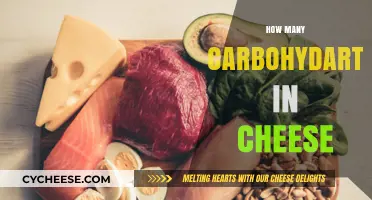 Carb Count in Cheese: Unveiling the Surprising Truth