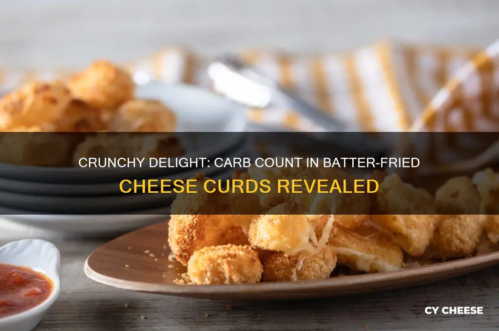 how many carbohydrates in batter fried cheese curds