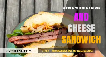 Bologna and Cheese Sandwich: Carb Count and Nutrition