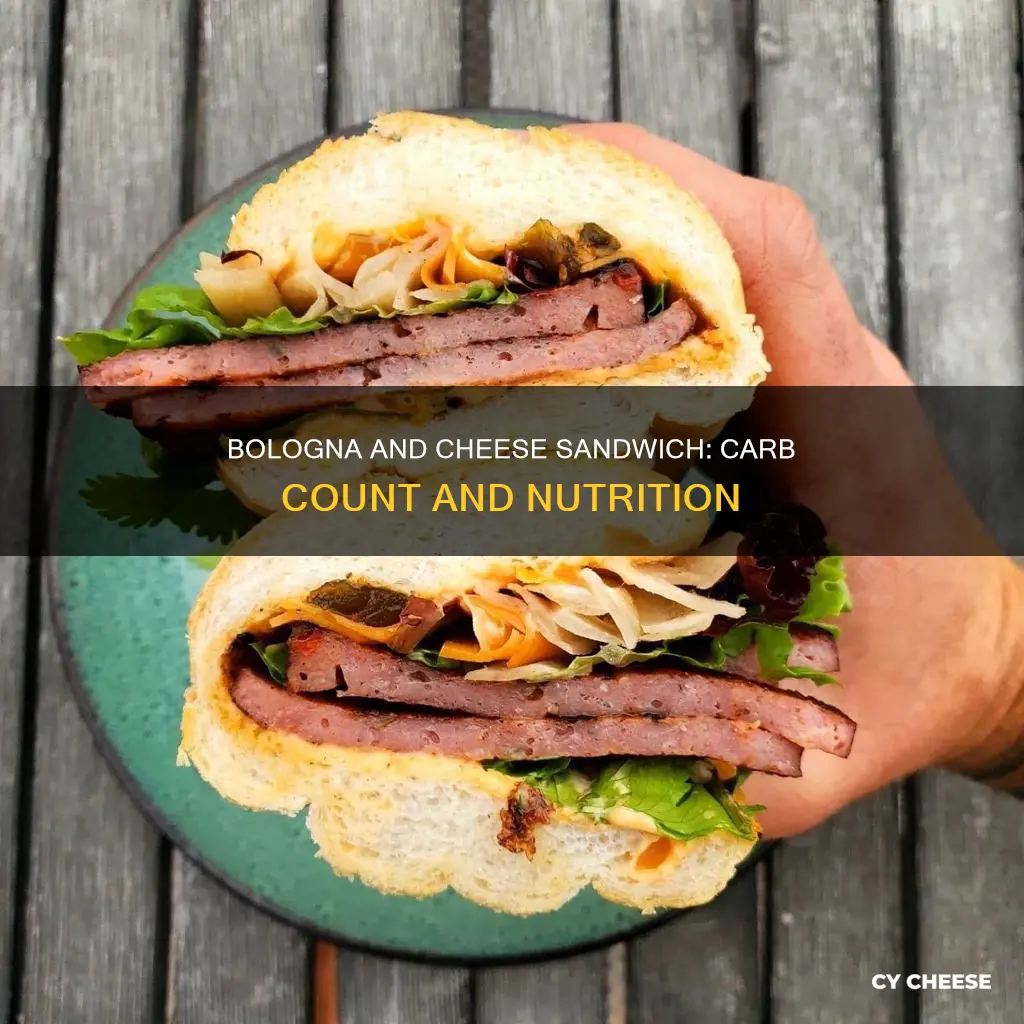 how many carbs are in a bologna and cheese sandwich