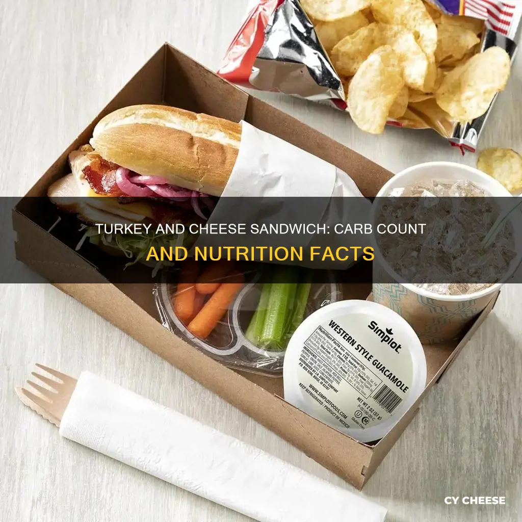 how many carbs are in a turkey and cheese sandwich