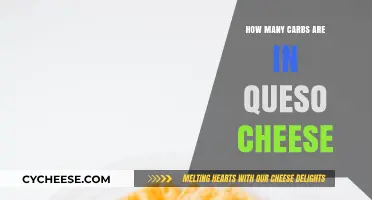 Cheese and Carbs: Queso's Nutritional Breakdown