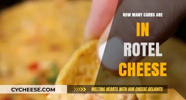 Cheese and Carbs: Rotel's Nutritional Breakdown