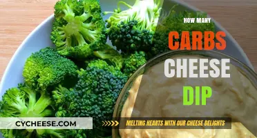 Cheese Dip: Carb Counts and Healthy Alternatives