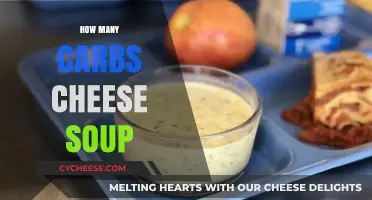 Cheese Soup: Carb Content and Nutritional Facts