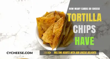 Cheese Tortilla Chips: Carb Content and Healthy Alternatives