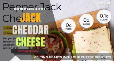 Cheese Please! Unveiling the Carb Count in Jack Cheddar