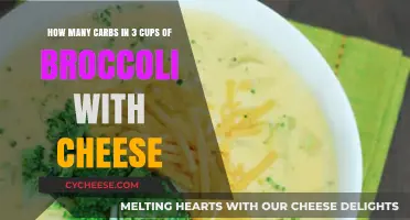 Cheesy Broccoli: How Many Carbs in This Dish?