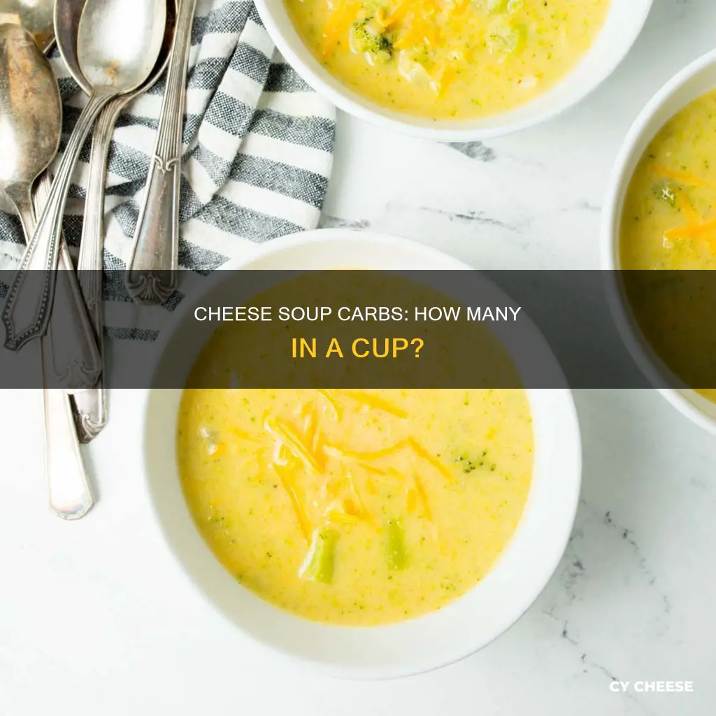 how many carbs in a cup of beer cheese soup