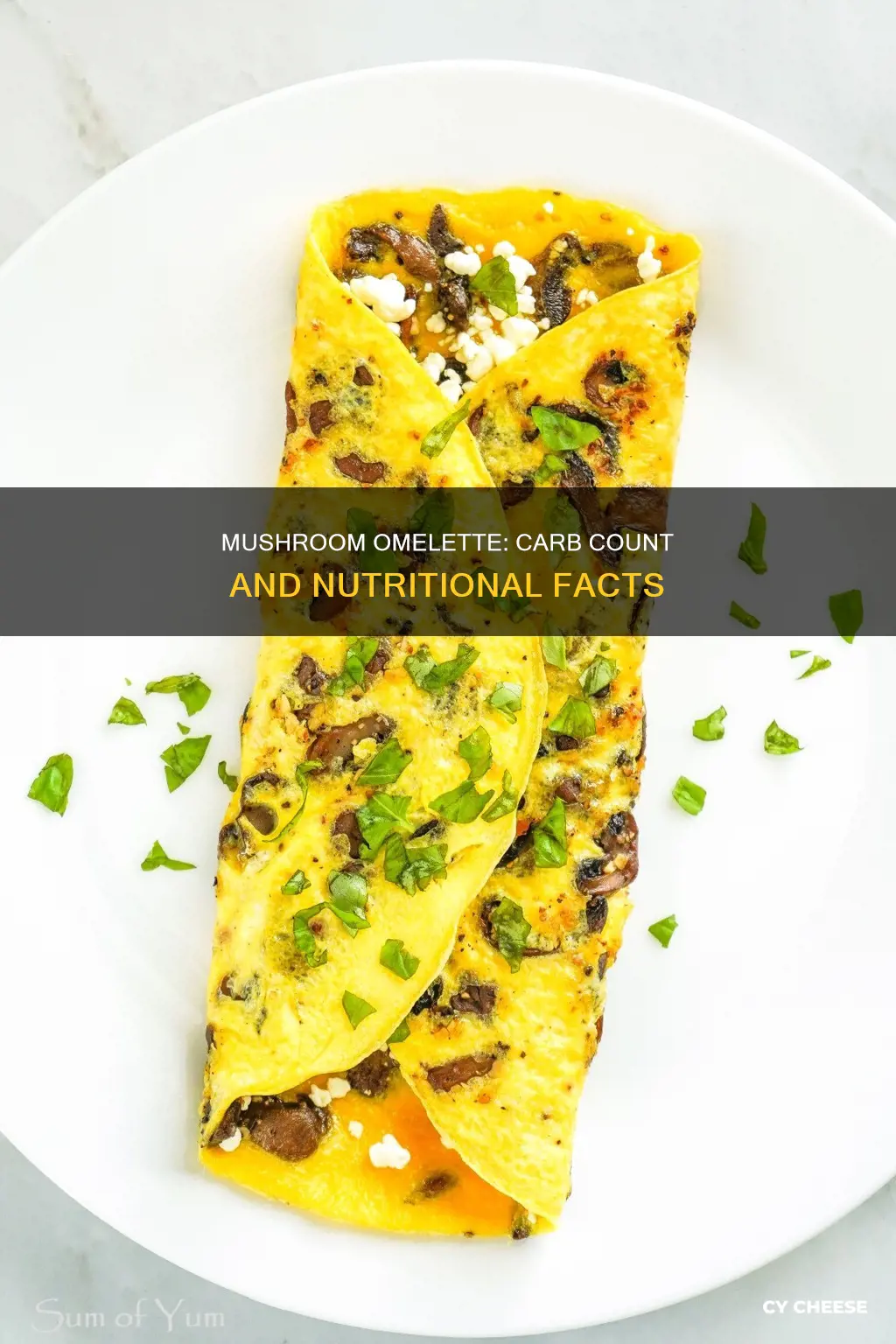 how many carbs in a mushroom and cheese omelette