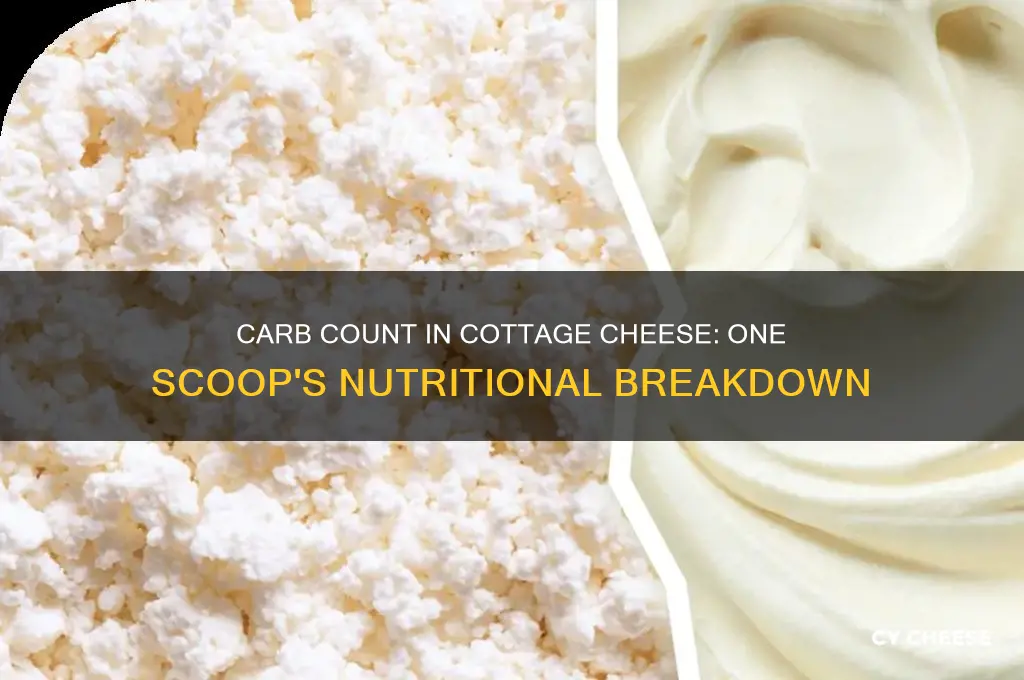 how many carbs in a scoop of cottage cheese