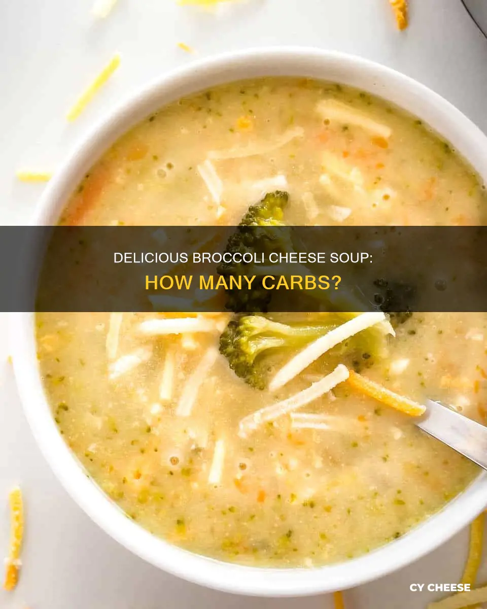 how many carbs in broccoli cheese soup